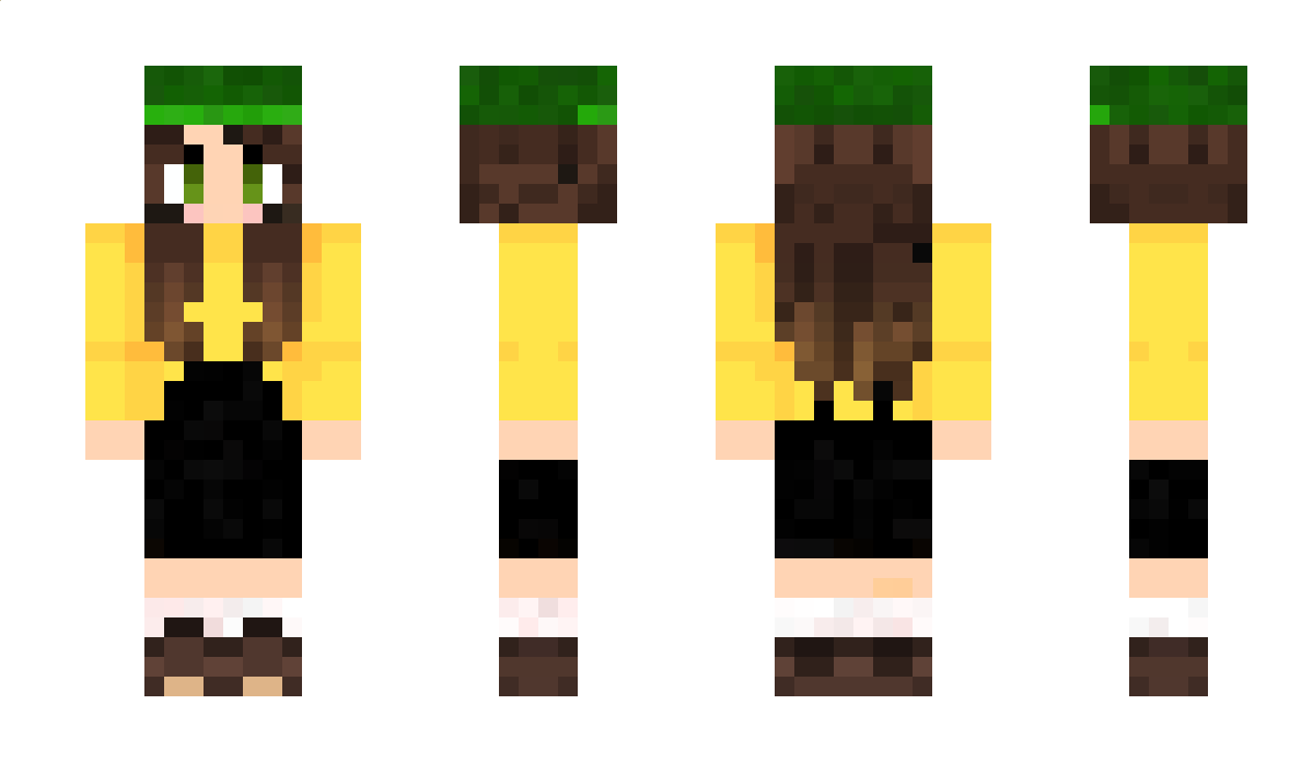 ayubrazil Minecraft Skin