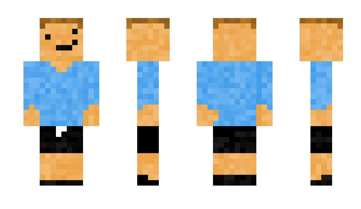 danj Minecraft Skin