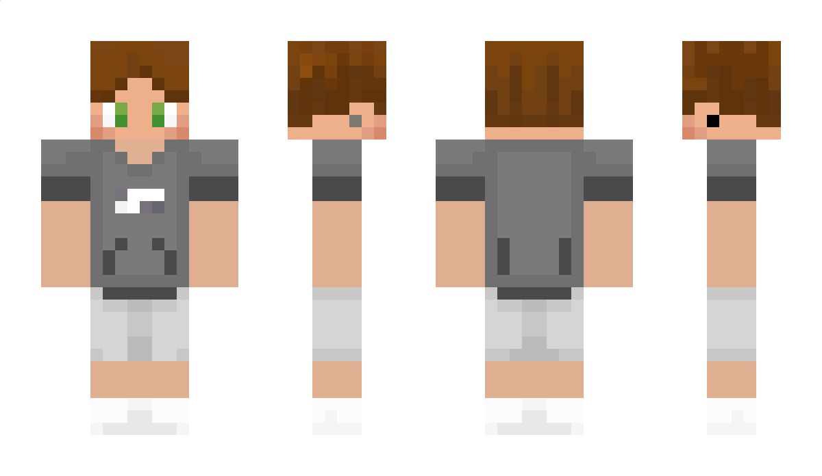 Dimi_exe Minecraft Skin