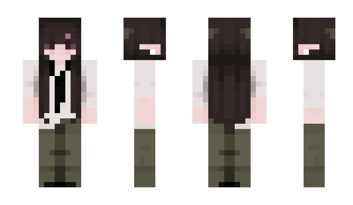 surveyi Minecraft Skin