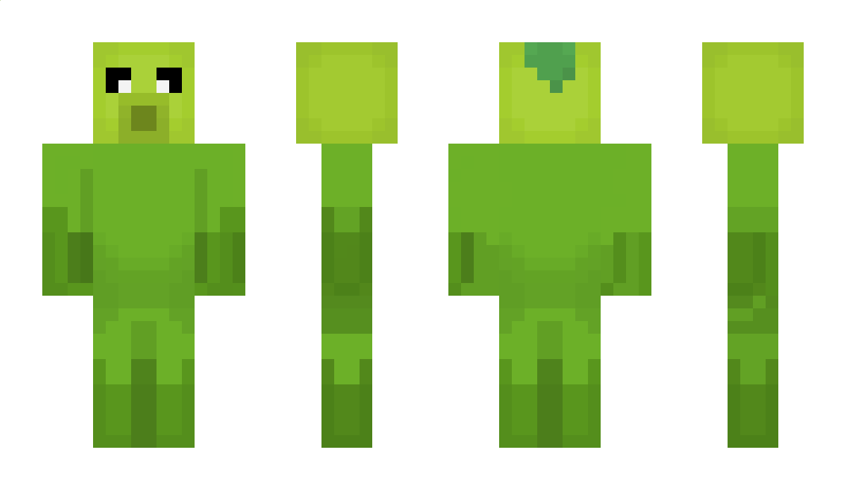 JimK445 Minecraft Skin