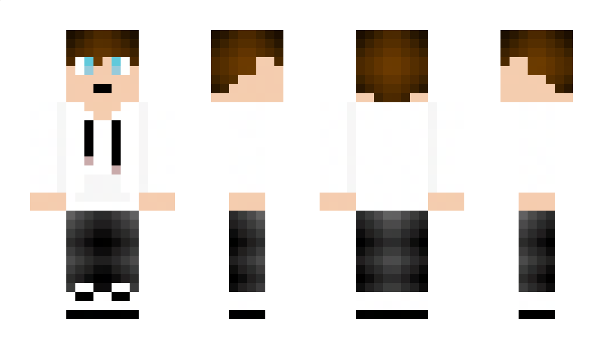 Brendanassassin1 Minecraft Skin