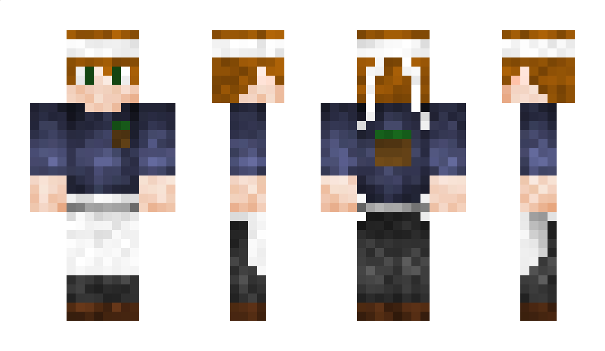 SilWarHD Minecraft Skin