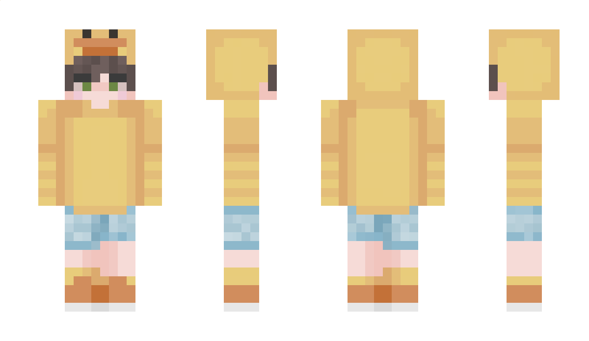 CrazyCrafter123 Minecraft Skin