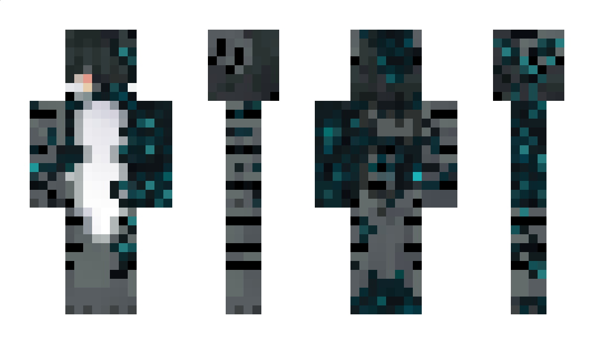 shankfish Minecraft Skin