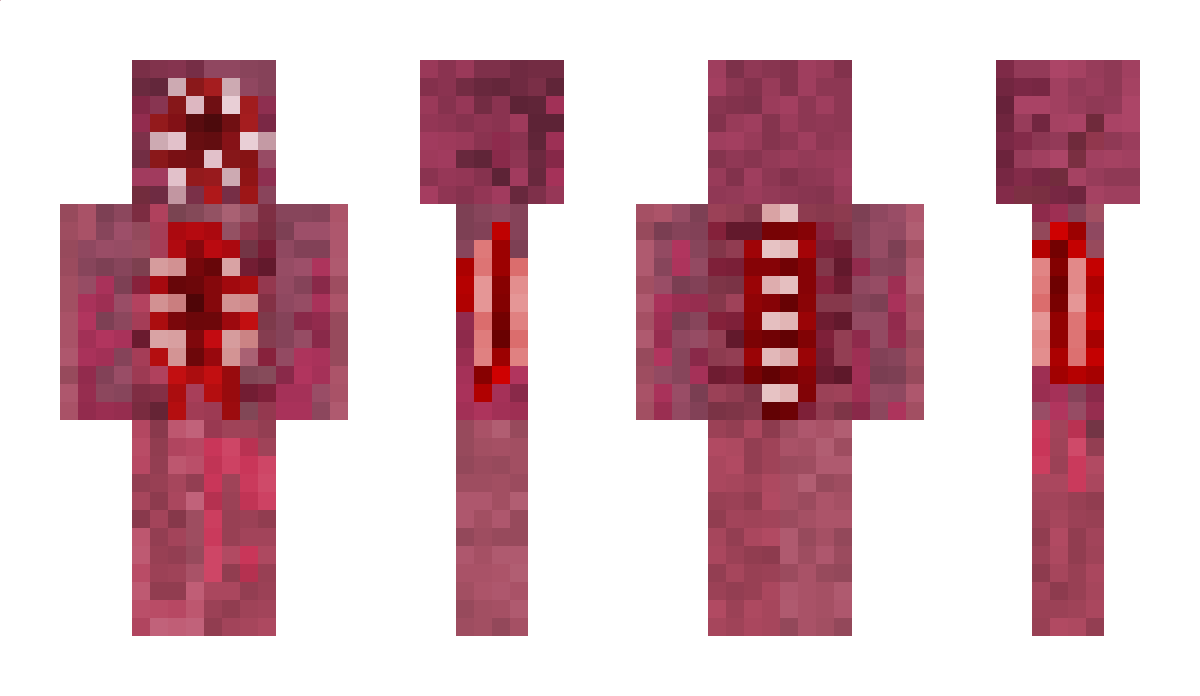 Bd0nut01 Minecraft Skin