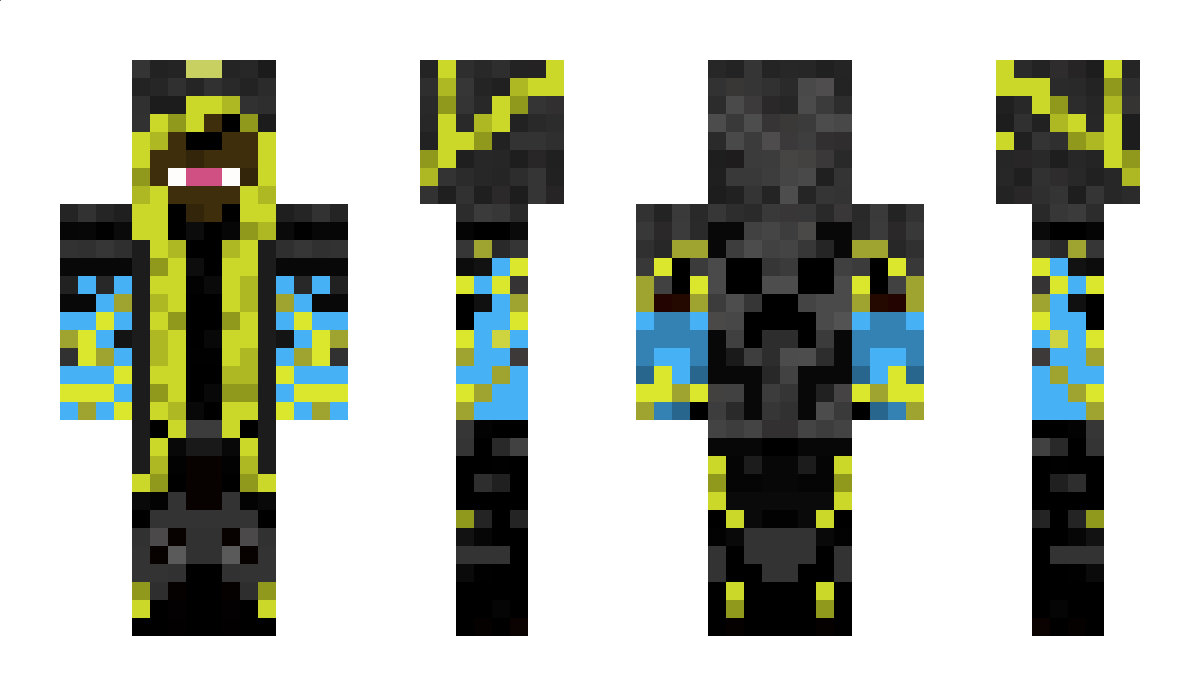 qims Minecraft Skin