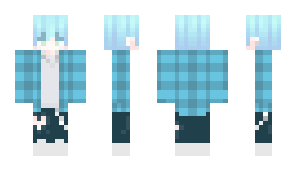 FalAni Minecraft Skin