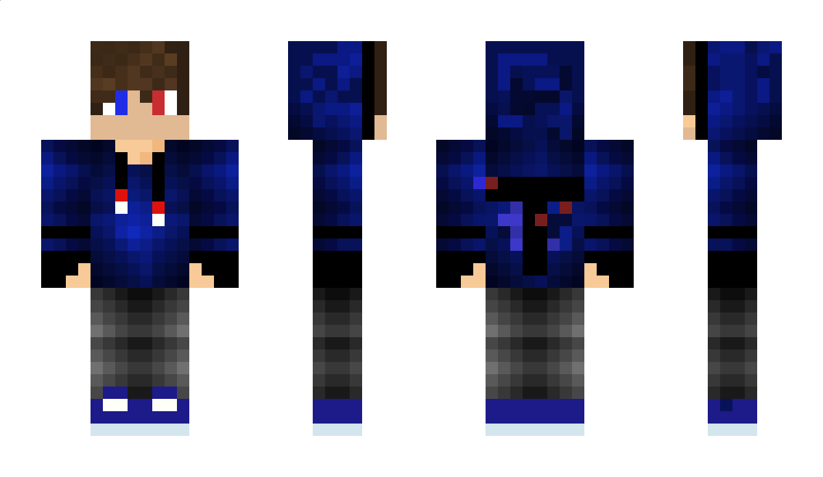 FinForFlin Minecraft Skin