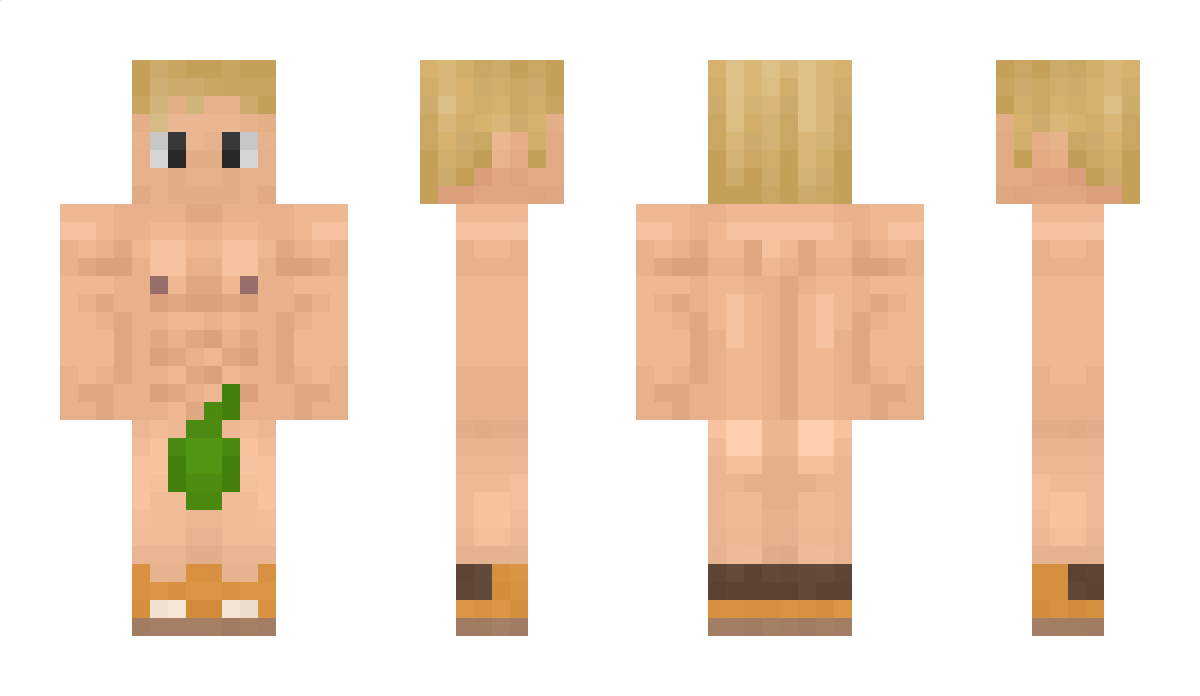 TulaneV Minecraft Skin