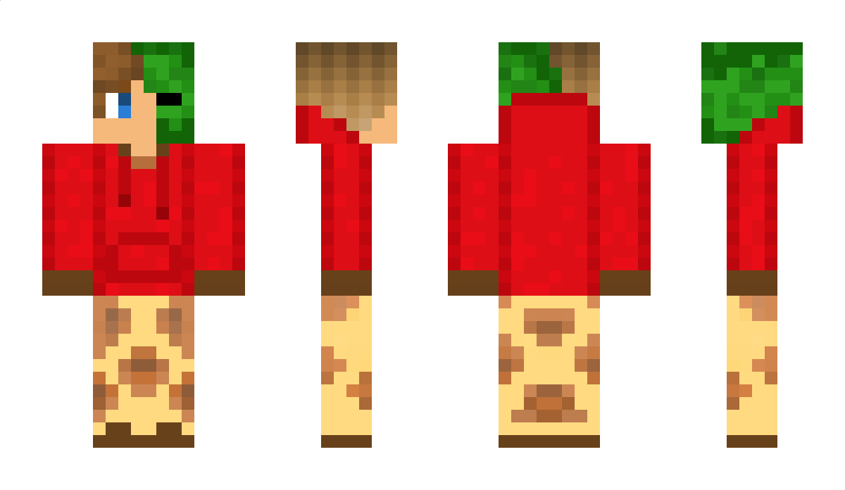 RealDanyaIce Minecraft Skin