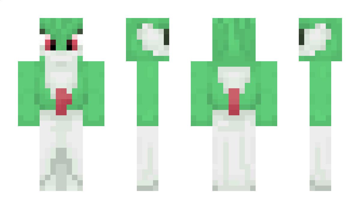 Piotrek101 Minecraft Skin