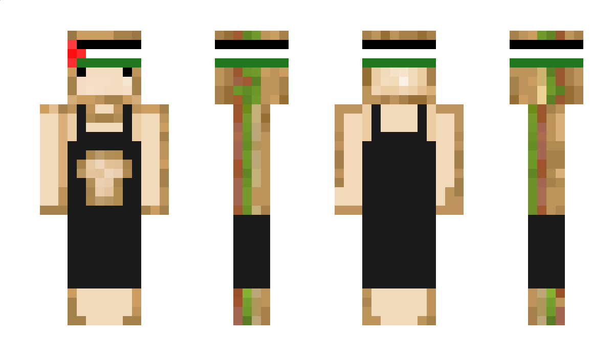 SandwishHD Minecraft Skin