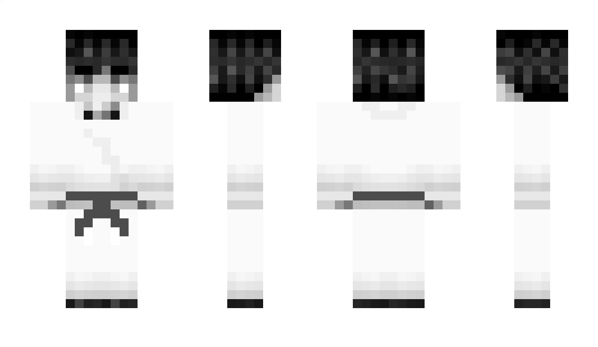 Sorting Minecraft Skin