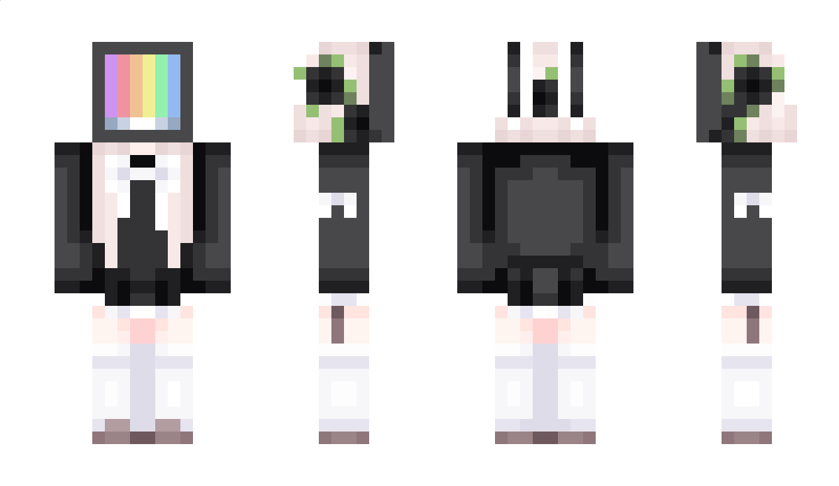 TVwoman Minecraft Skin