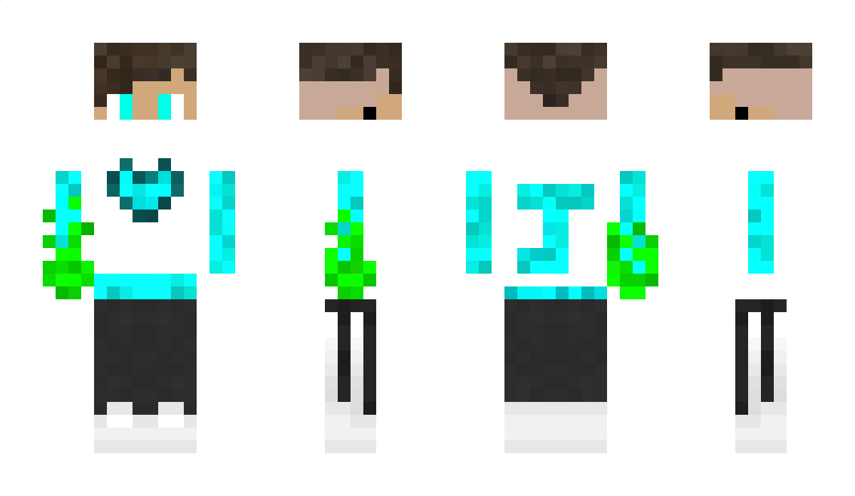 W1T Minecraft Skin