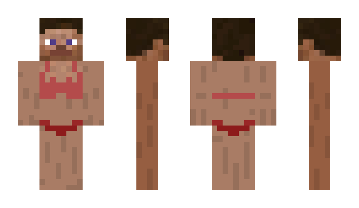 DilmaRouseff Minecraft Skin