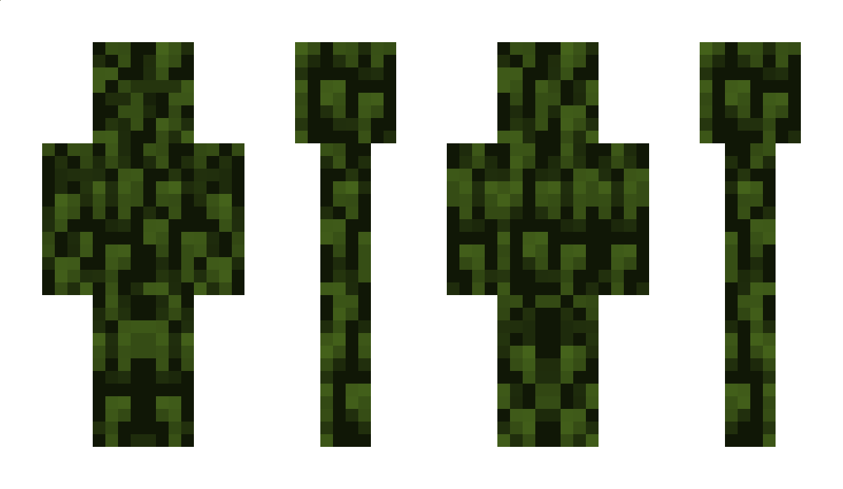 Broom Minecraft Skin