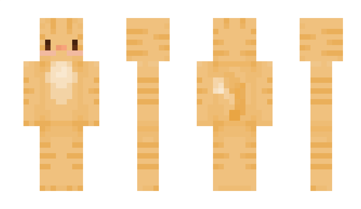 DreamingCat Minecraft Skin