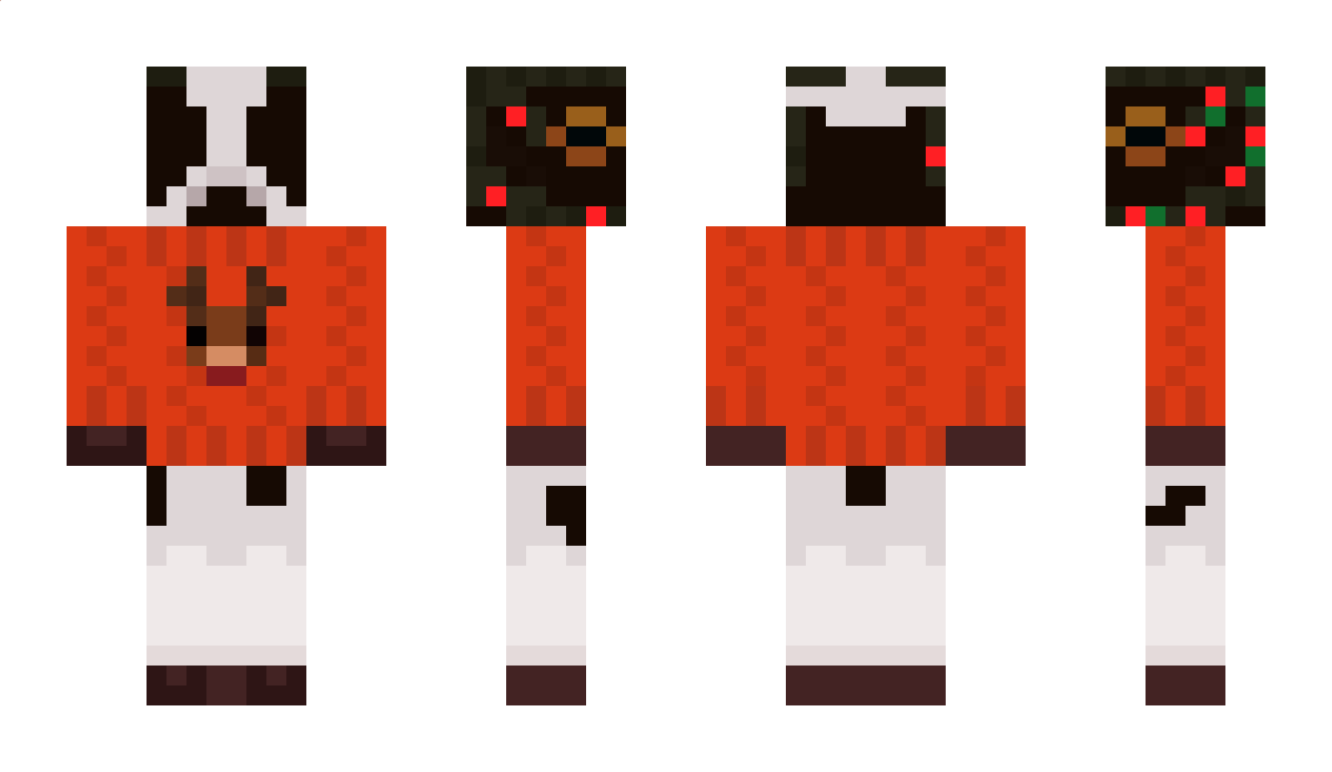 Petatronic Minecraft Skin