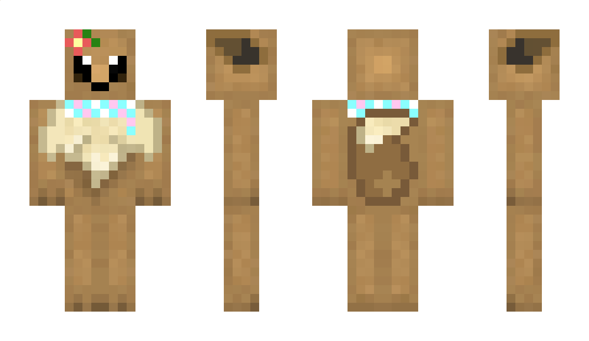 notCNOOR Minecraft Skin