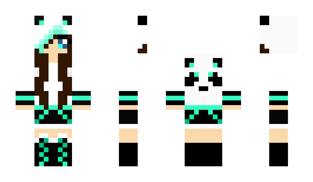 Indi Minecraft Skin