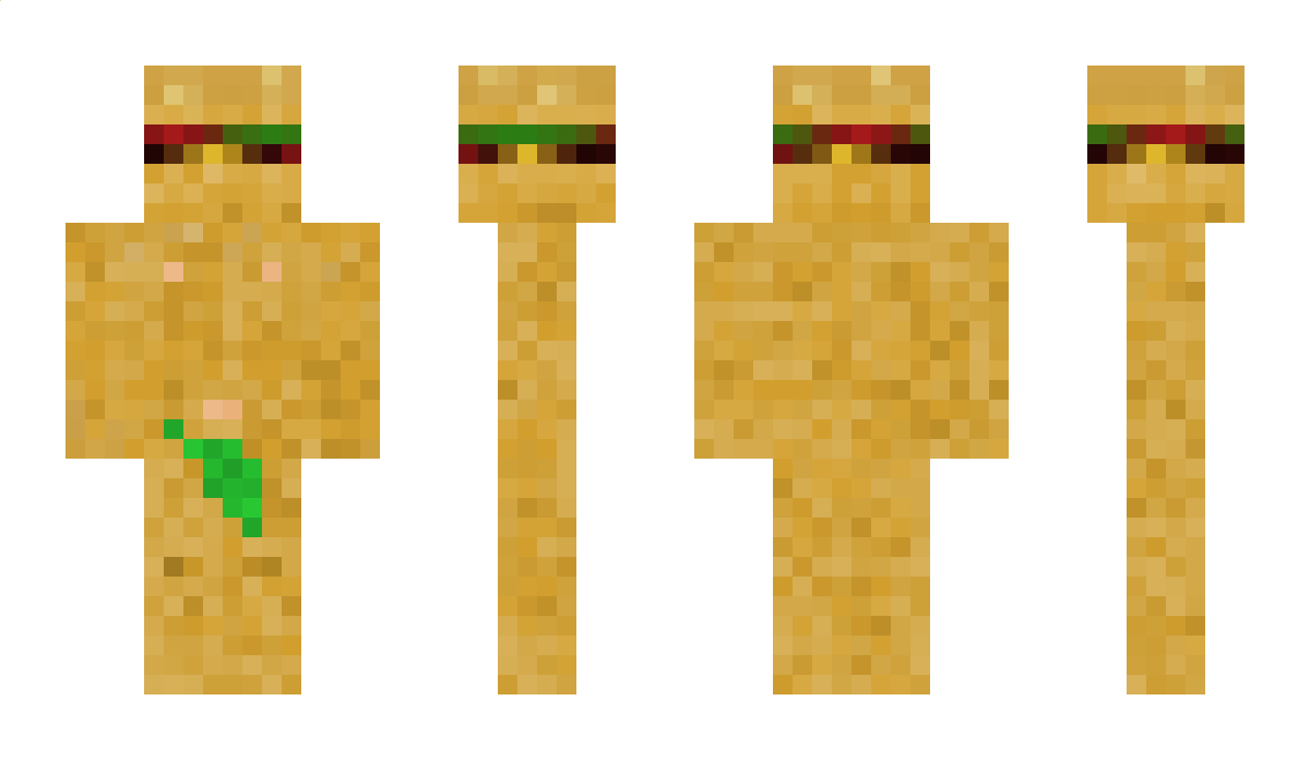 TheWonderGamr13 Minecraft Skin