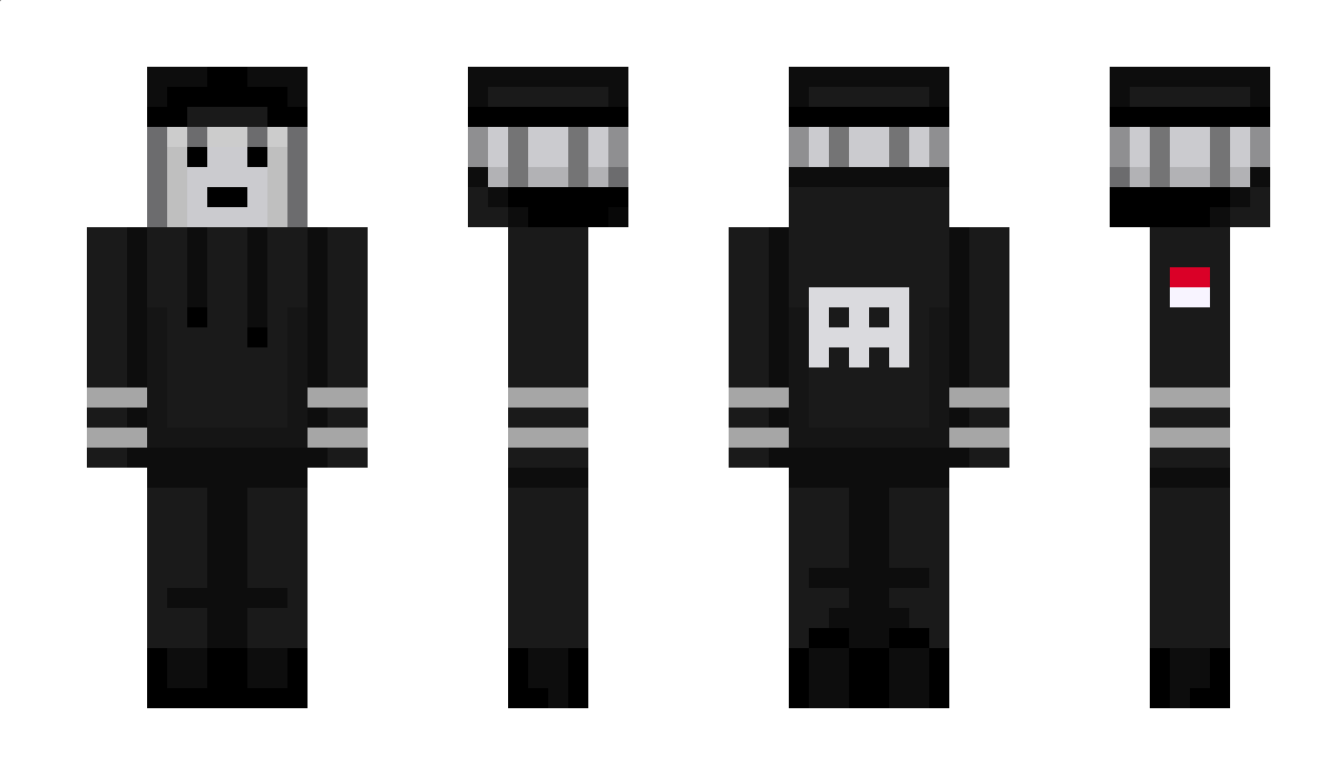 STAGrisna Minecraft Skin