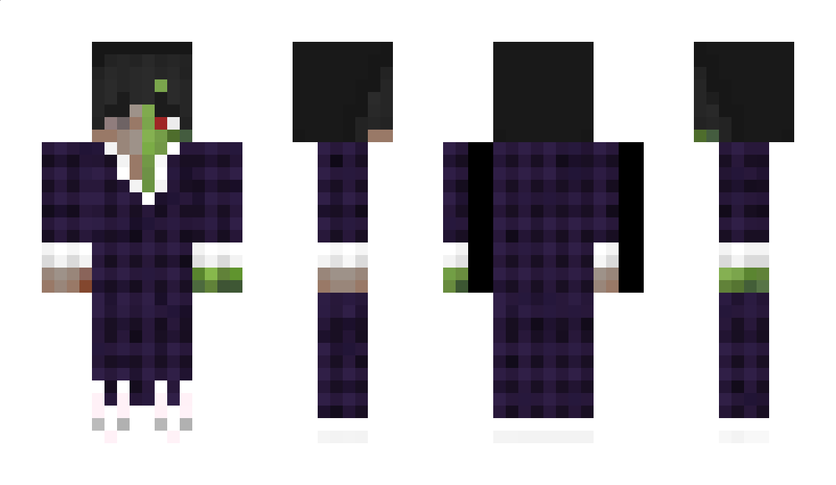 Sennevslol Minecraft Skin