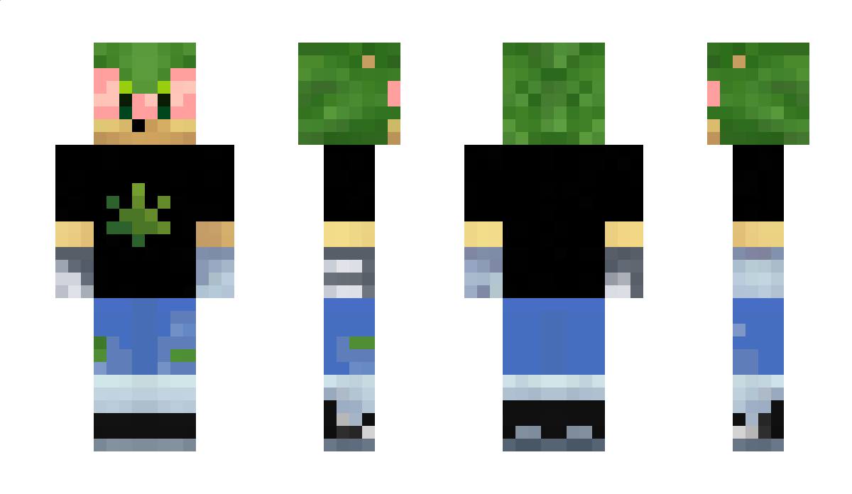 xKrids Minecraft Skin