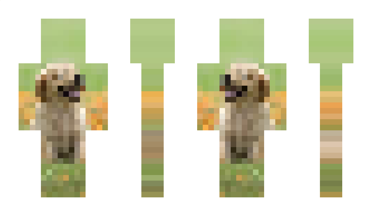 japlic Minecraft Skin