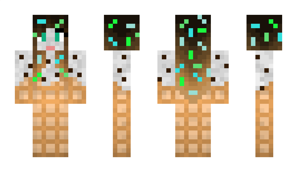 PlaneVanilla Minecraft Skin