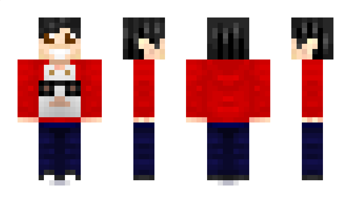 arial8195 Minecraft Skin