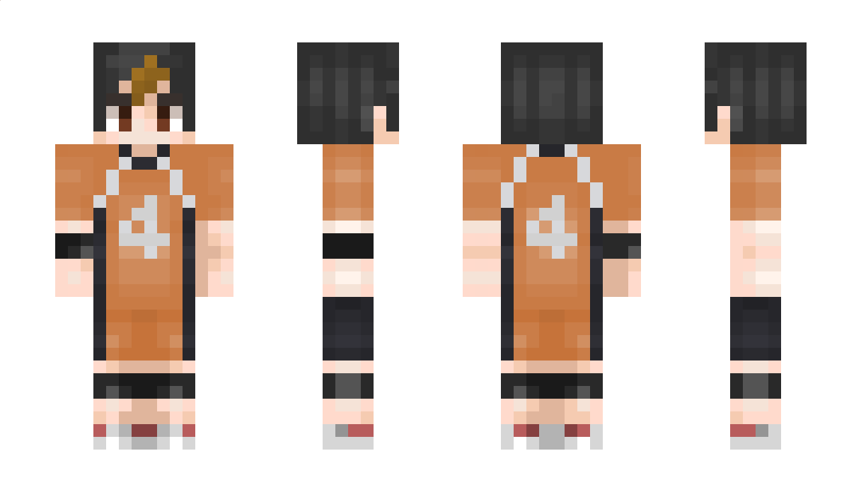 P1JAN Minecraft Skin