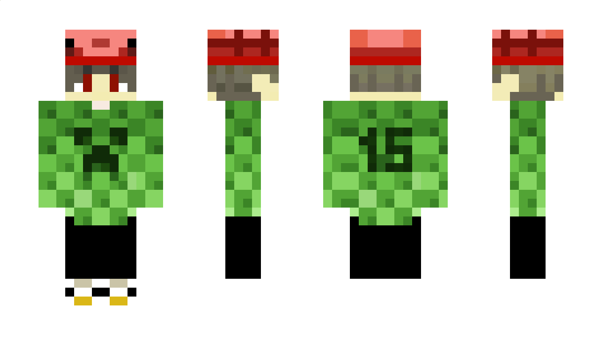 Niesraj Minecraft Skin