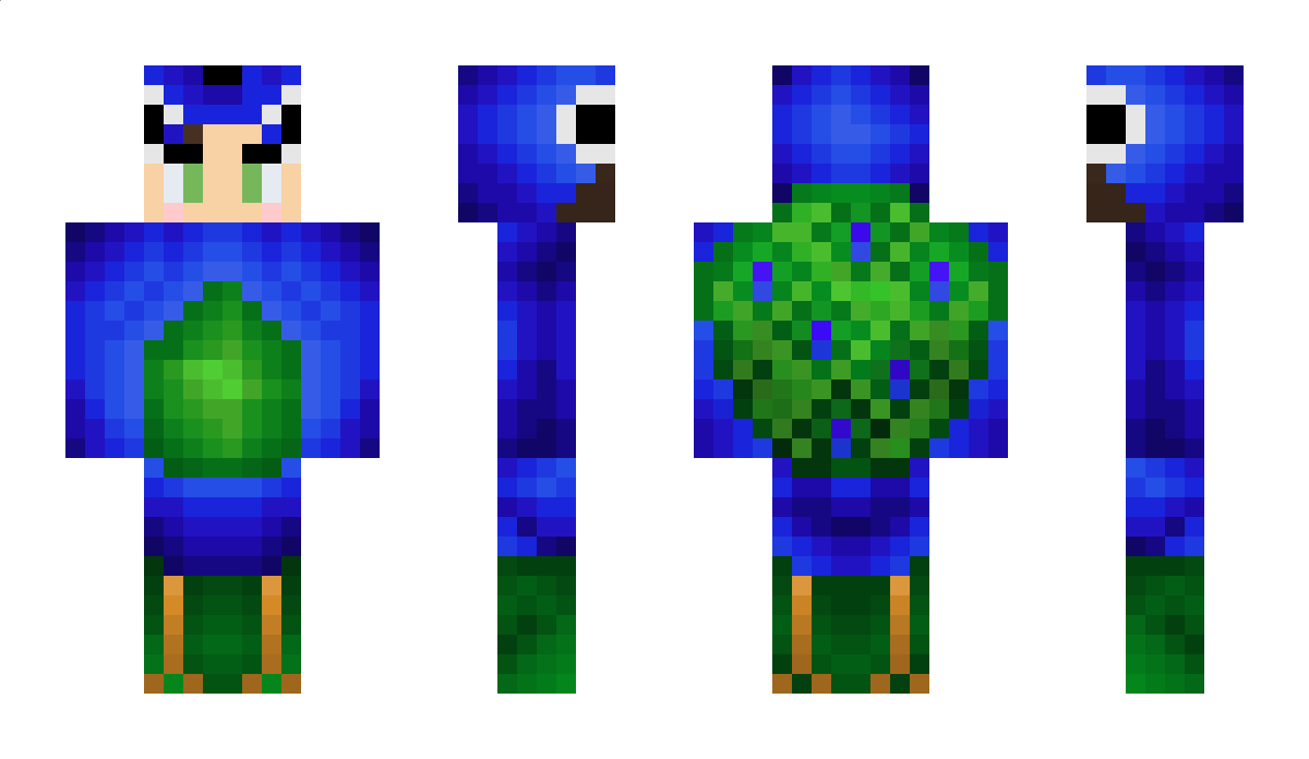 AyushMore Minecraft Skin