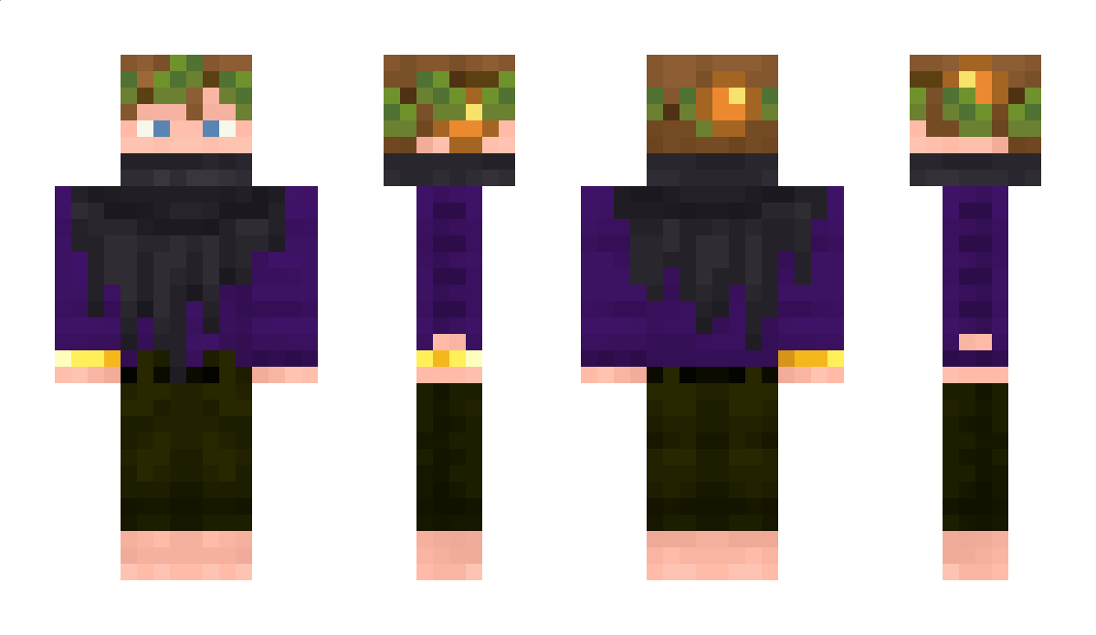 MrFikus13 Minecraft Skin