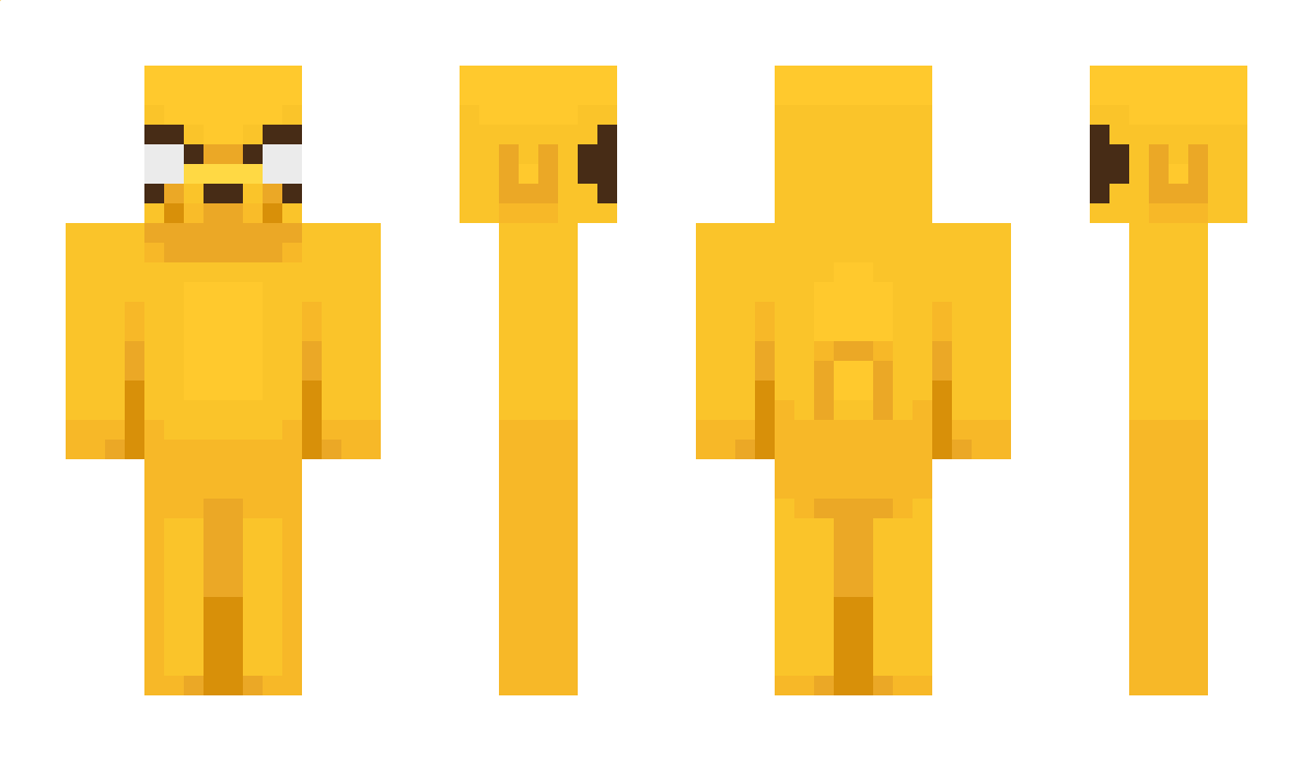 Popkat Minecraft Skin
