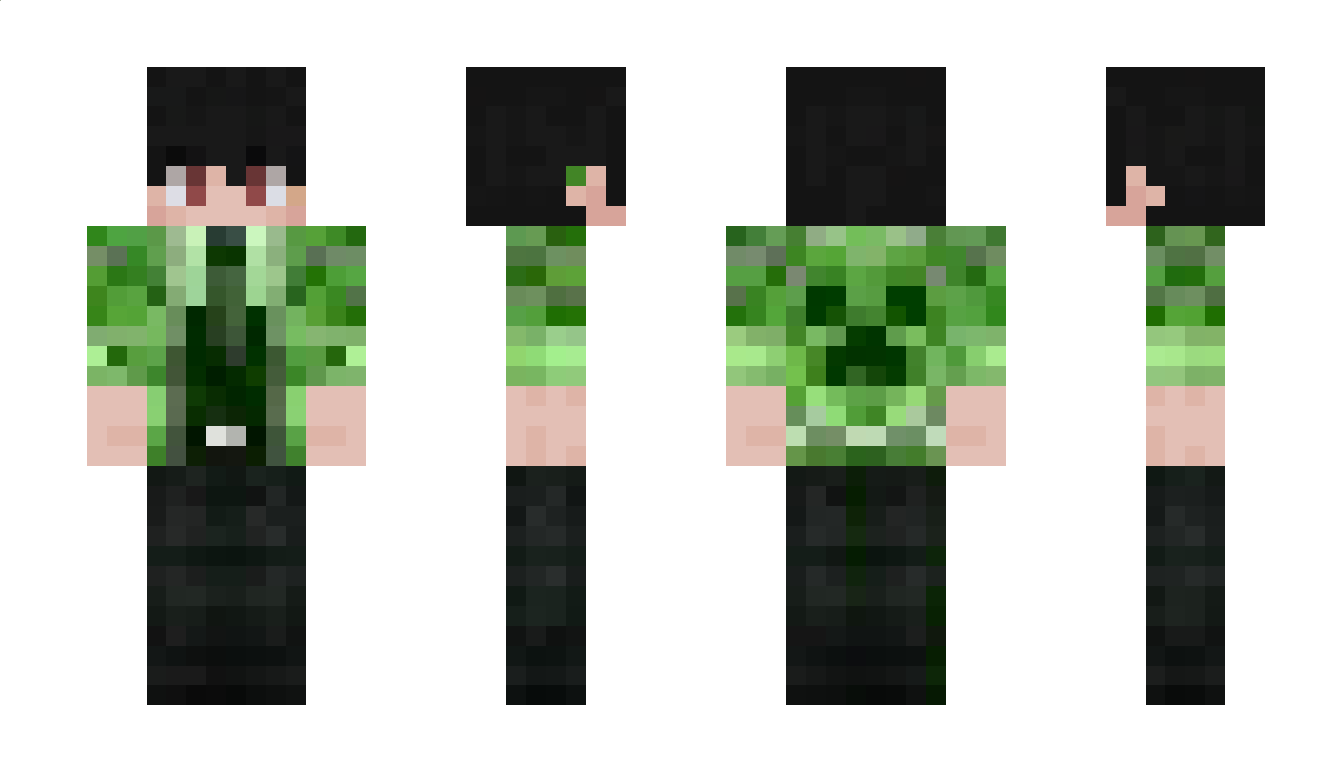 dashlight233 Minecraft Skin