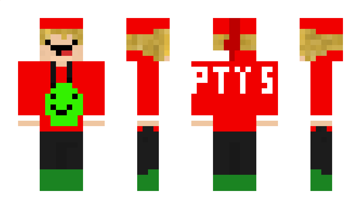 Dawidowski15 Minecraft Skin