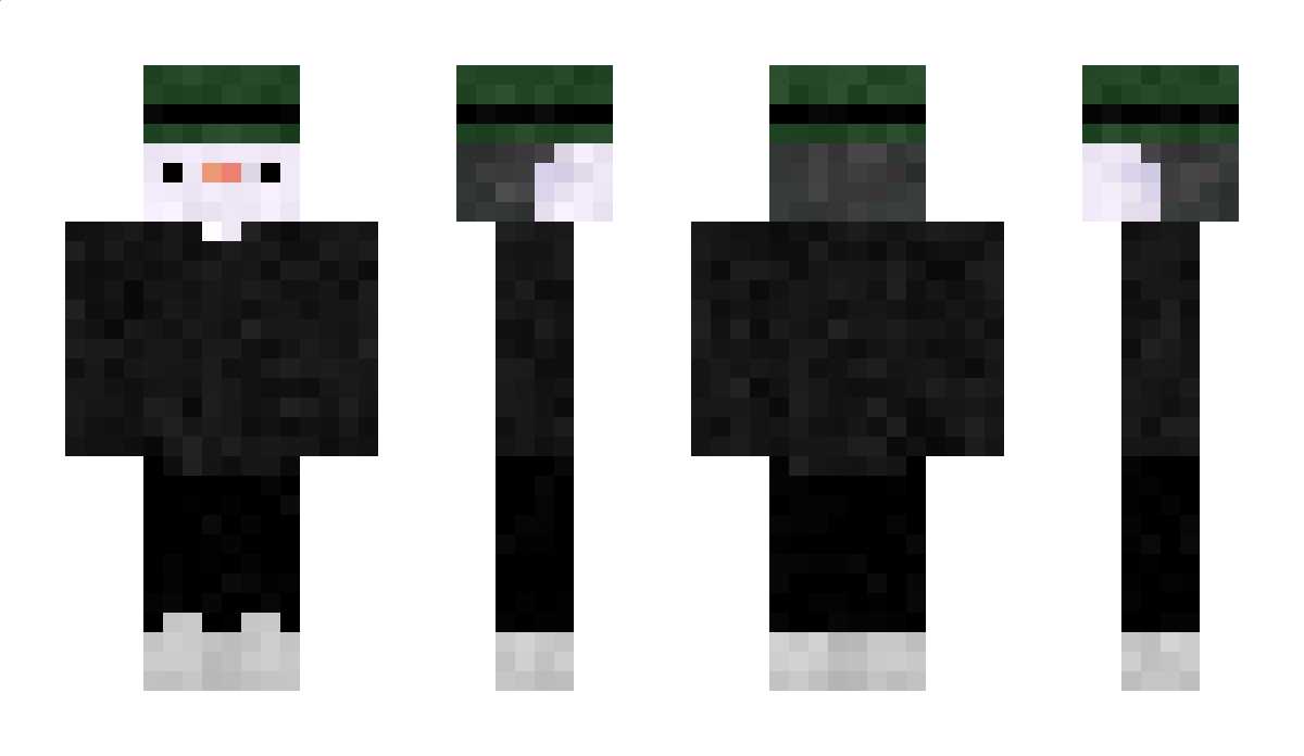 Pingw1n3k Minecraft Skin