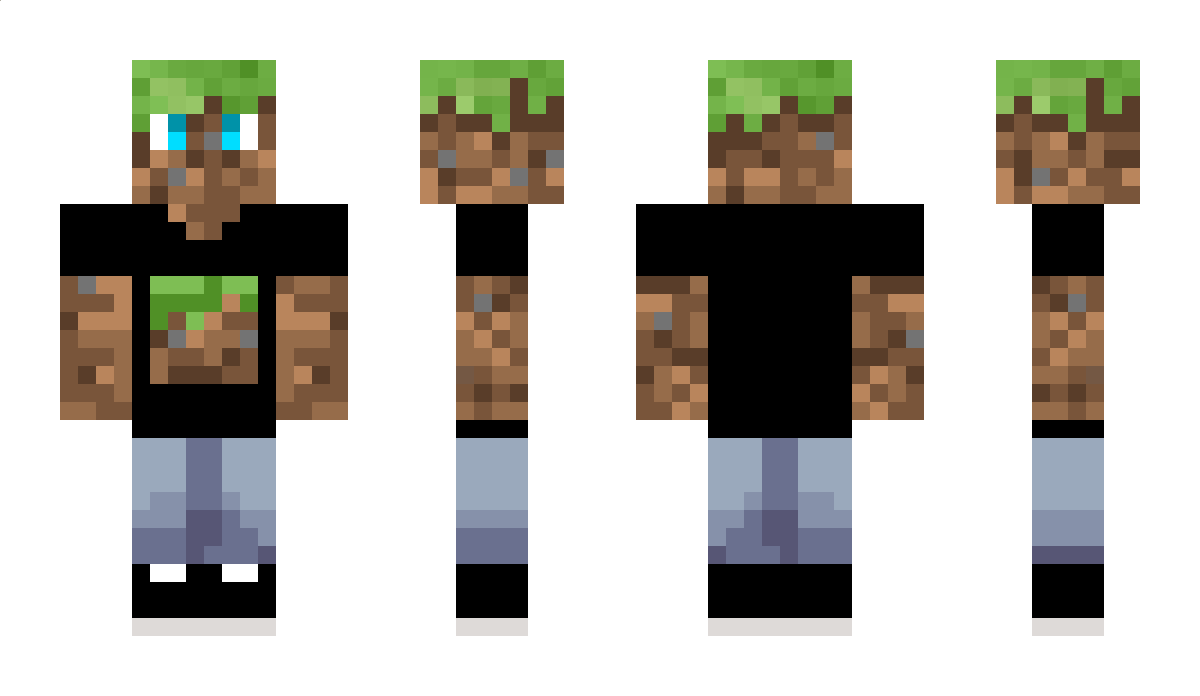 ErikInTheBlock Minecraft Skin