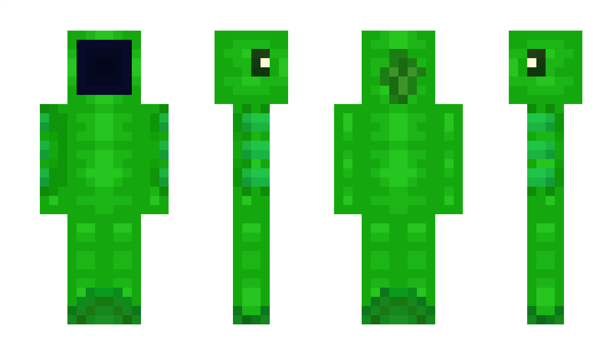 PvZ Minecraft Skin