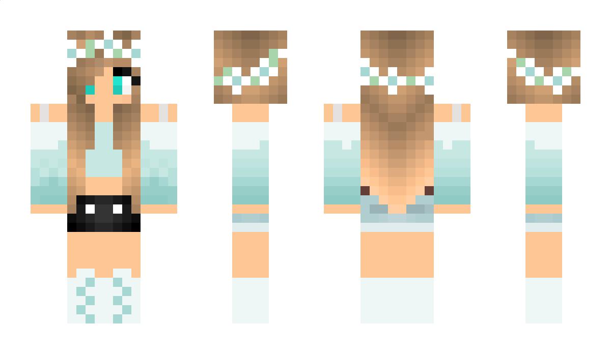 Flaska Minecraft Skin