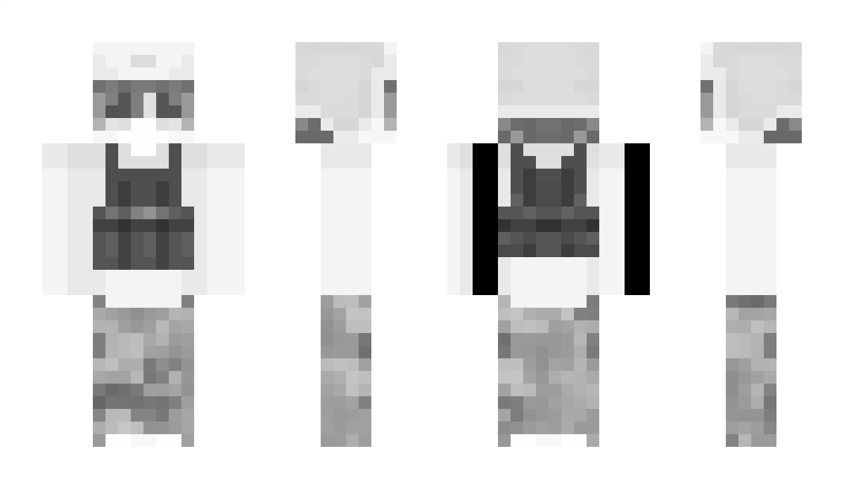 SilverDragonfly Minecraft Skin