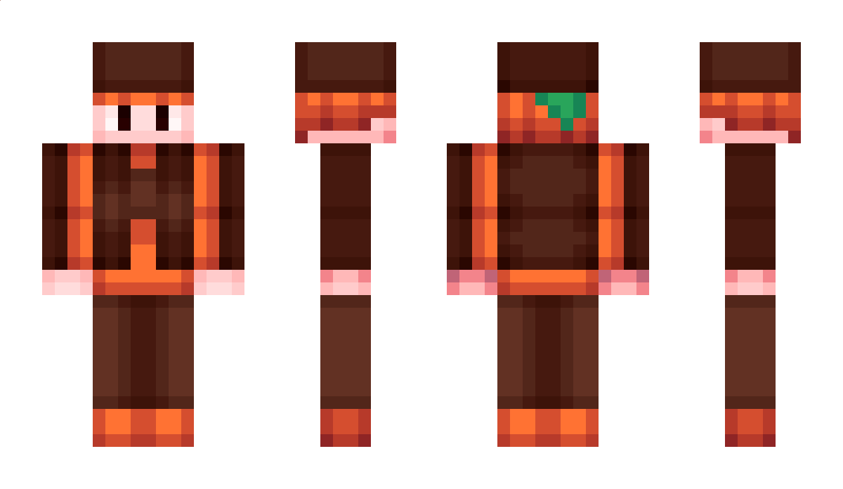 Danki Minecraft Skin