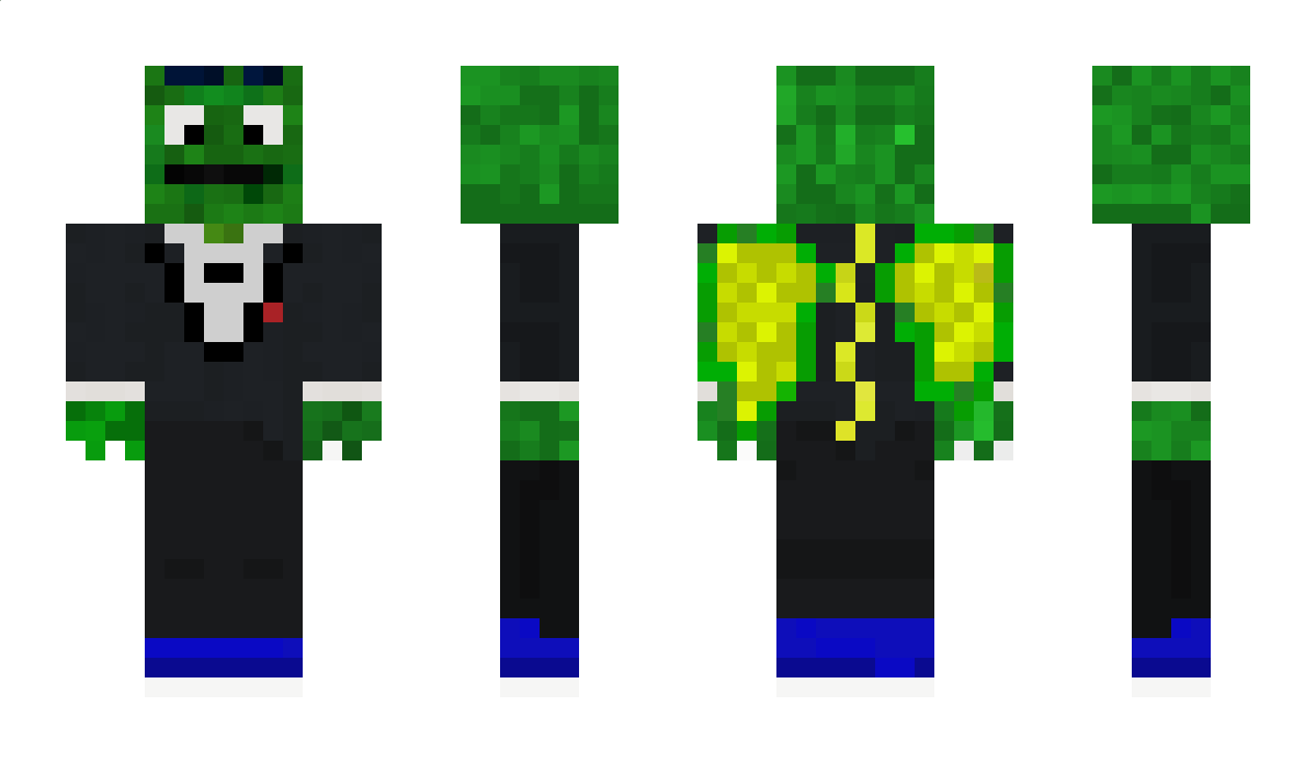 DragonAshy_ Minecraft Skin