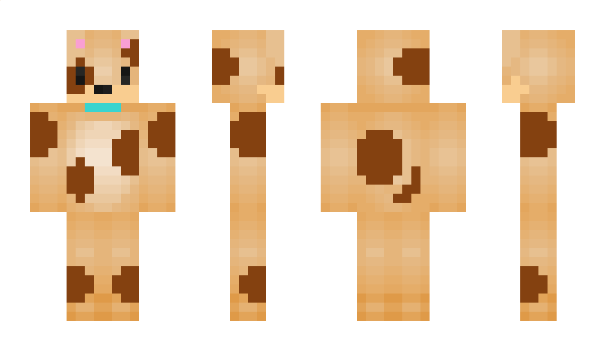 Brookie Minecraft Skin