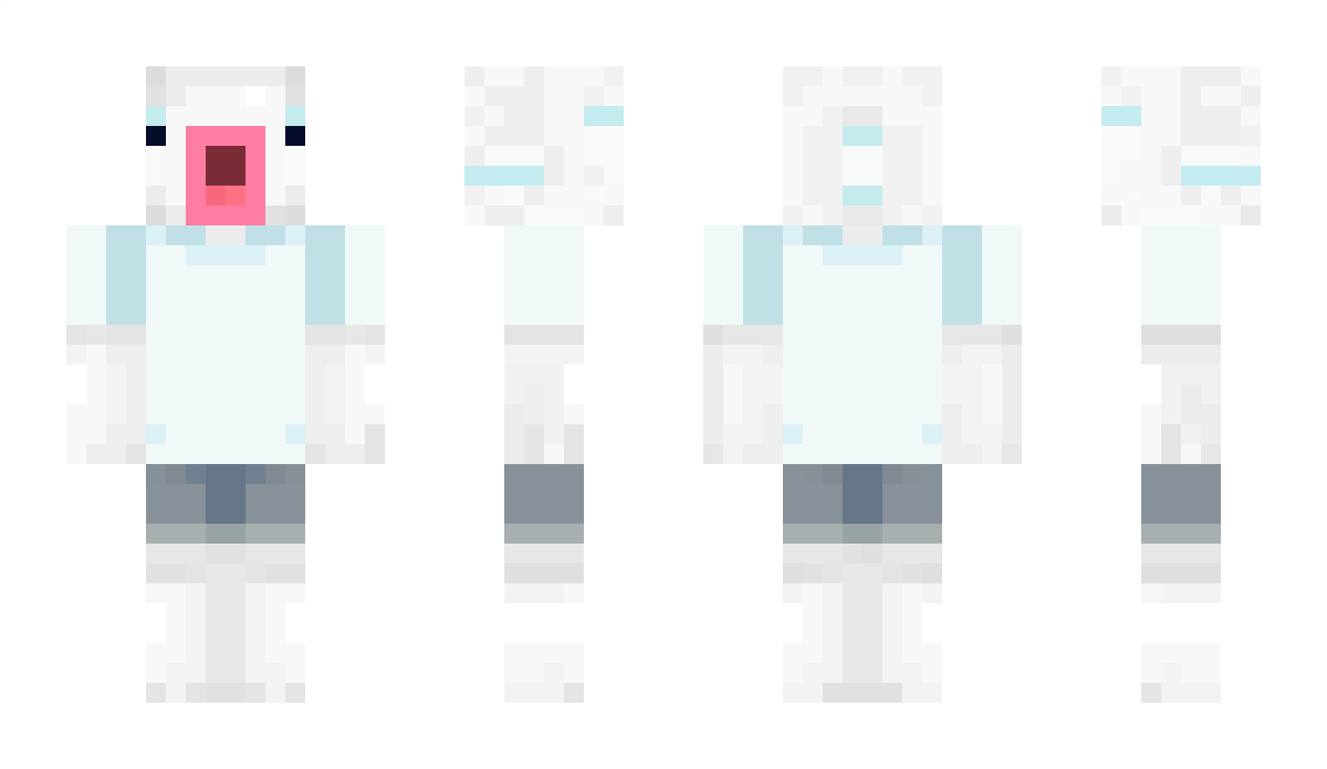 Tortosman Minecraft Skin