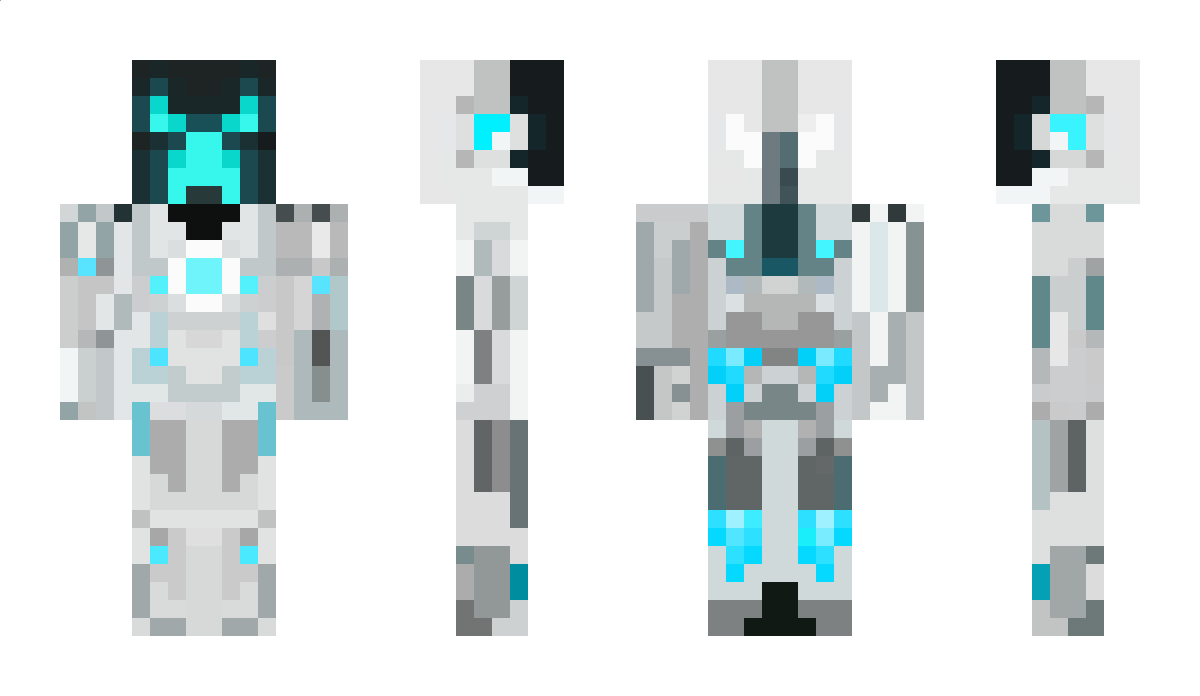 _SkyHawk_ Minecraft Skin